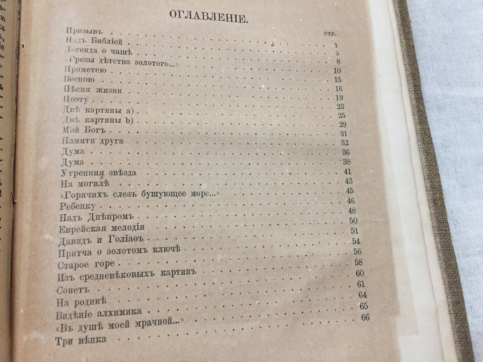 Стихотворения: первый сборник С. Г. Фруга (1885)