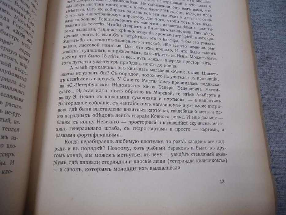 Санкт-Петербург. Видения (прижизненное издание). Предисловие Ивана Лукаша