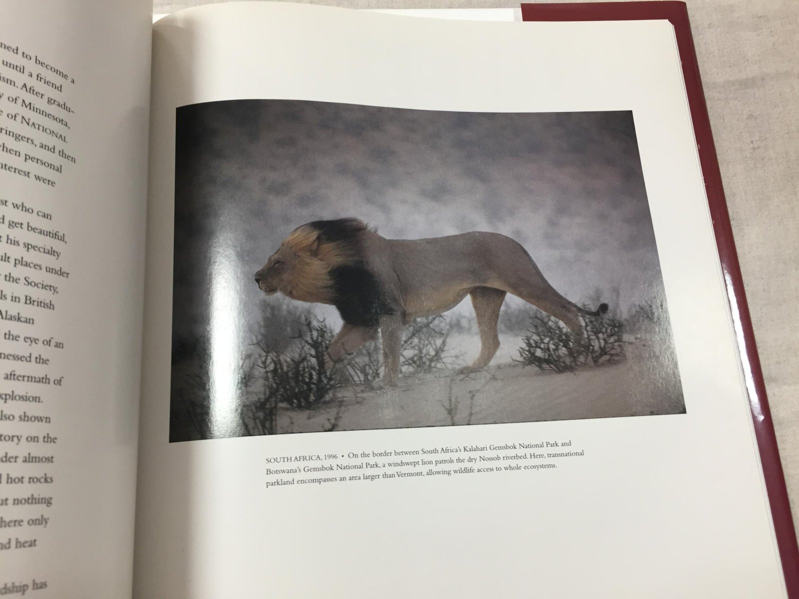 Фотографии National Geographic: ключевые вехи мировой фотожурналистики (National Geographic Photographs: The Milestones)