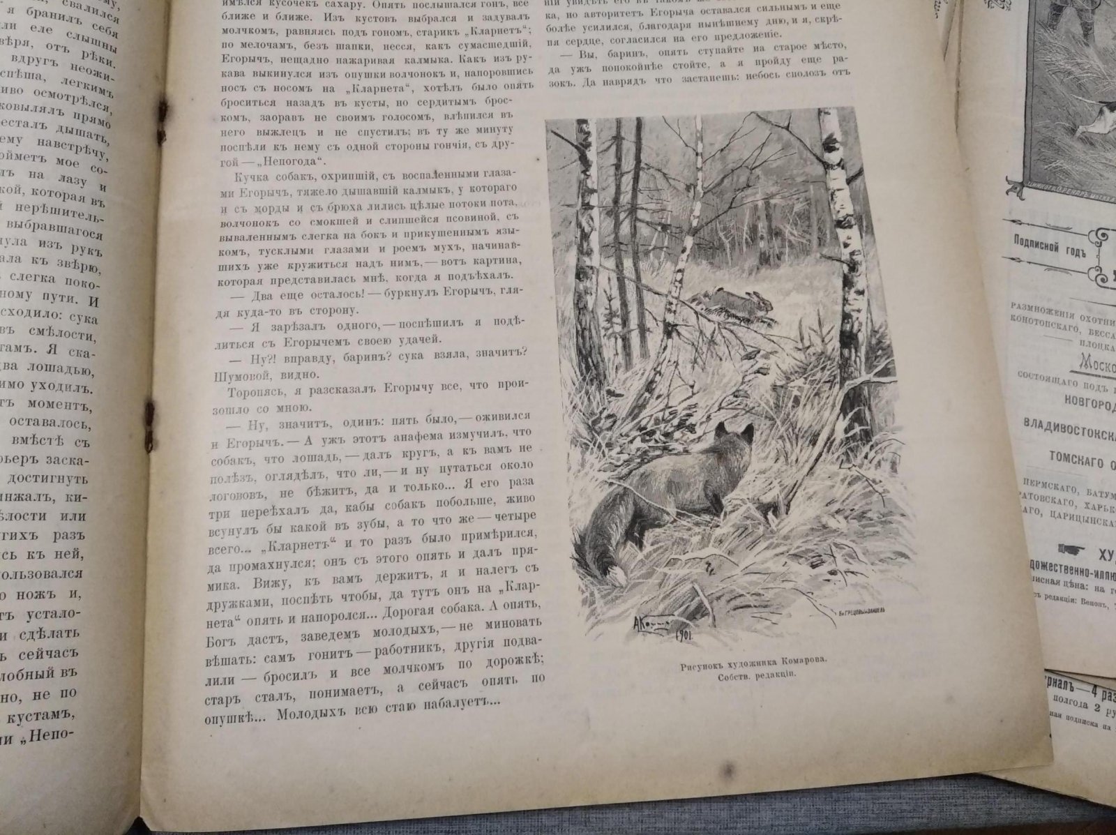 Псовая и ружейная охота. Выпуски № 9–29 (21 номер), 1902 год — журнал «Семья охотников»
