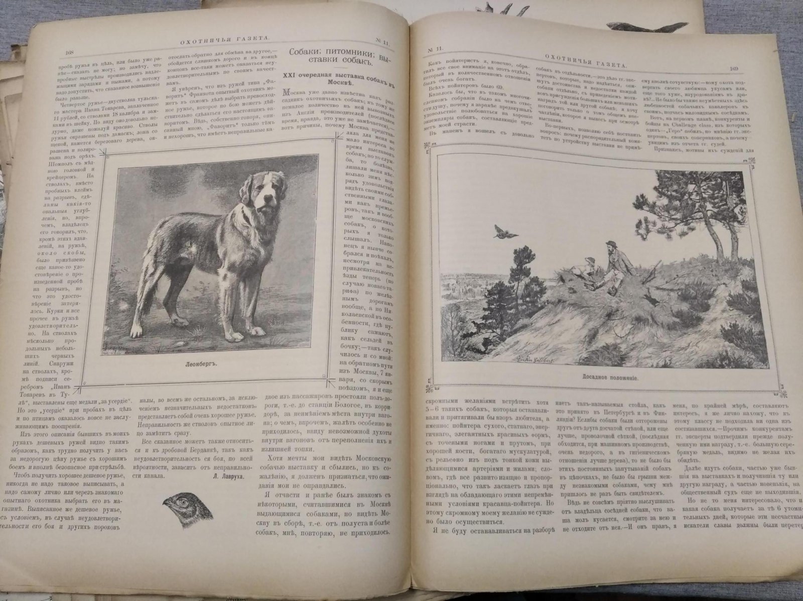 Охотничья газета. Годовая подшивка № 1–50 за 1895 год (содержание за 1895 год)