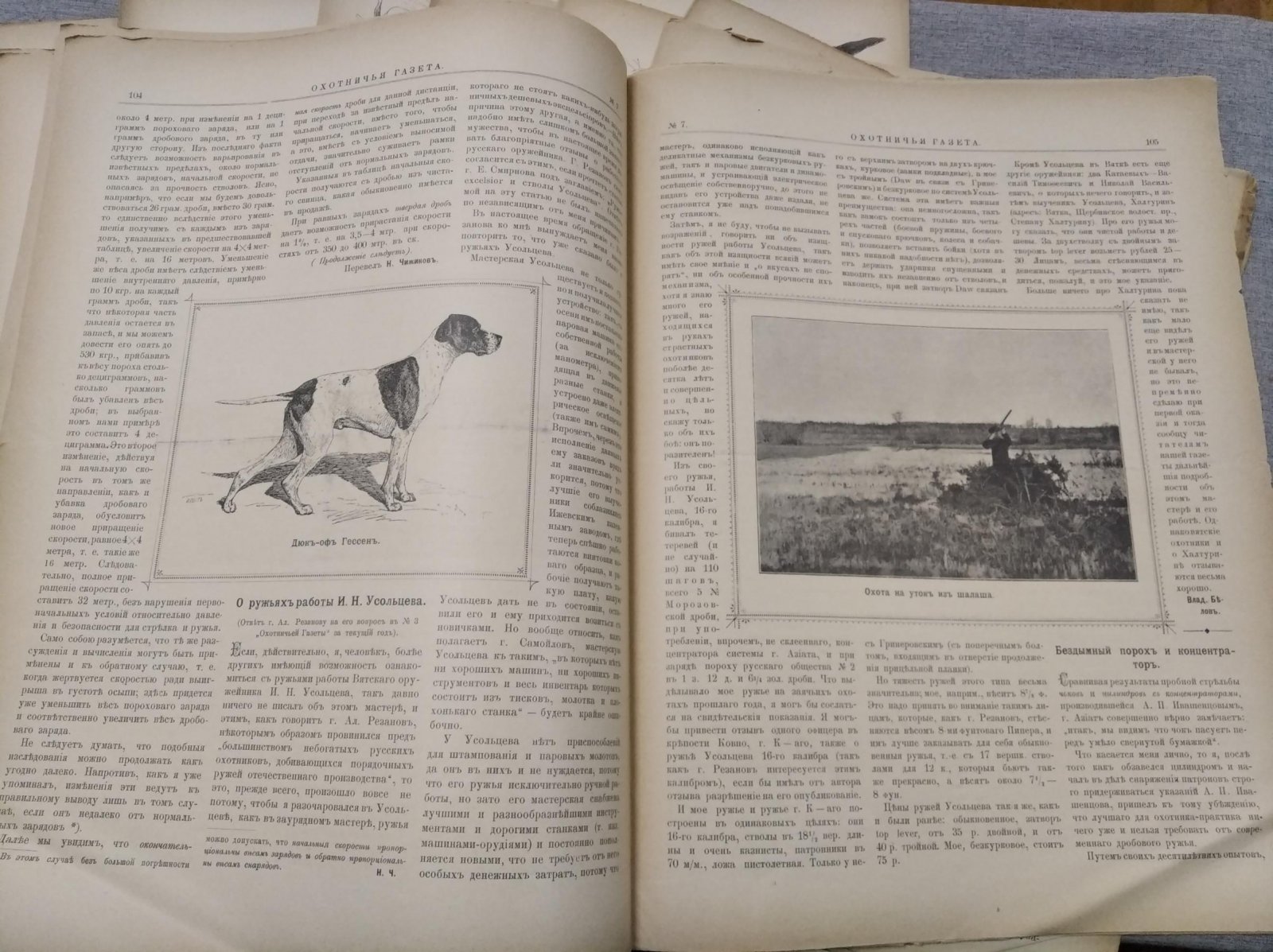 Охотничья газета. Годовая подшивка № 1–50 за 1895 год (содержание за 1895 год)