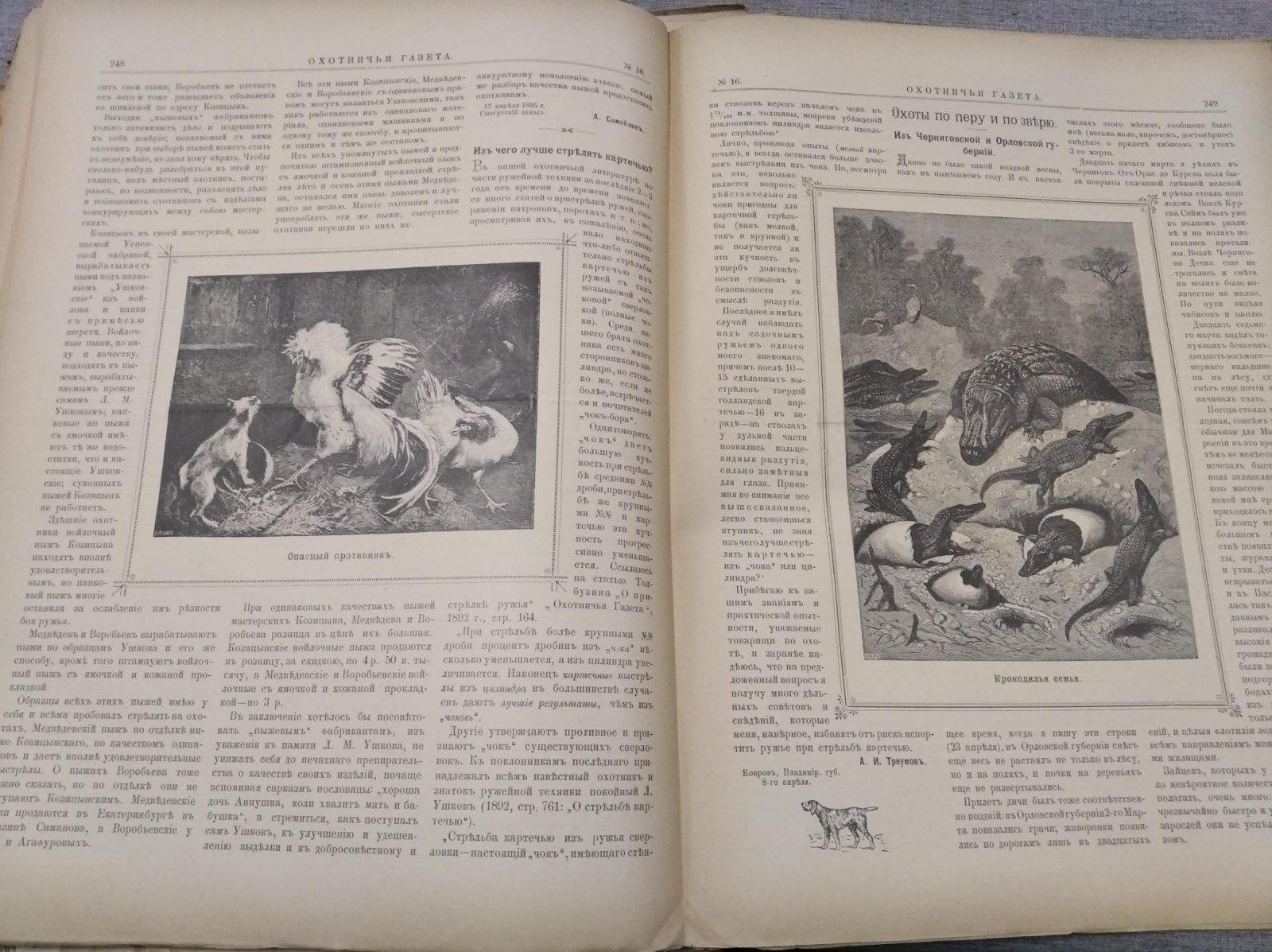 Охотничья газета. Годовая подшивка № 1–50 за 1895 год (содержание за 1895 год)