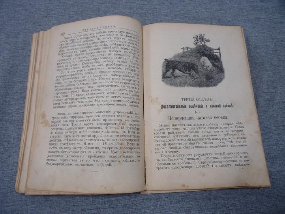 Лягавая собака. Уход, воспитание и дрессировка без побоев. Классическое руководство Фридриха Освальда