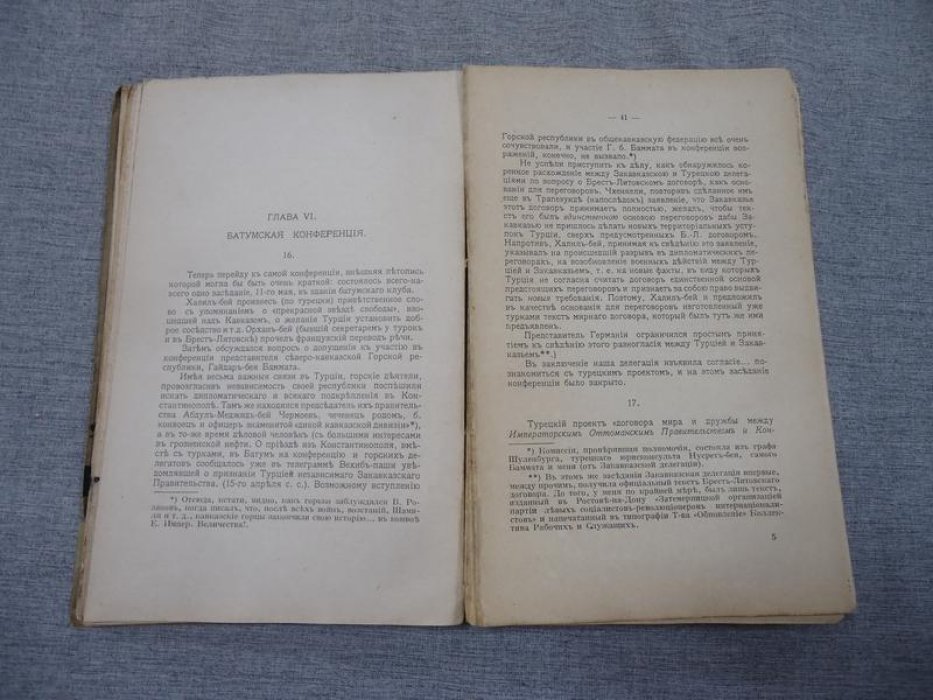 Независимость Грузии в международной политике (1918–1921). Воспоминания и очерки
