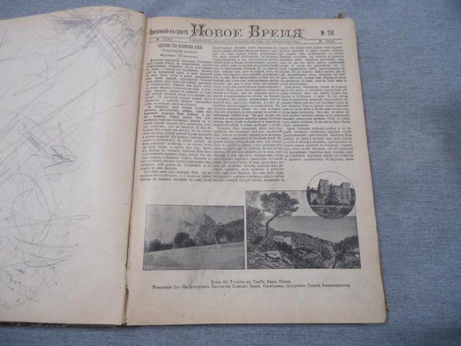 Новое время: иллюстрированное приложение к газете «Новое Время» А. С. Суворина (годовой комплект за 1896 г.)