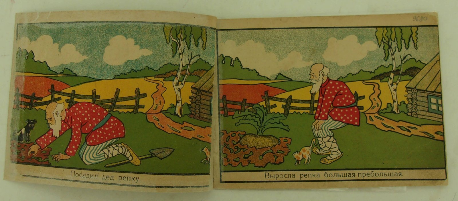 Репка.