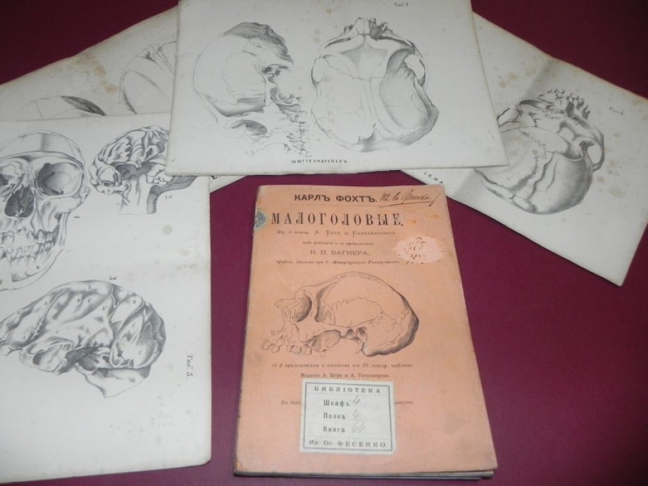 Карл Фохт. «Малоголовые» (с приложениями и атласом): зоологическое исследование и научный взгляд на редкую патологию мозга