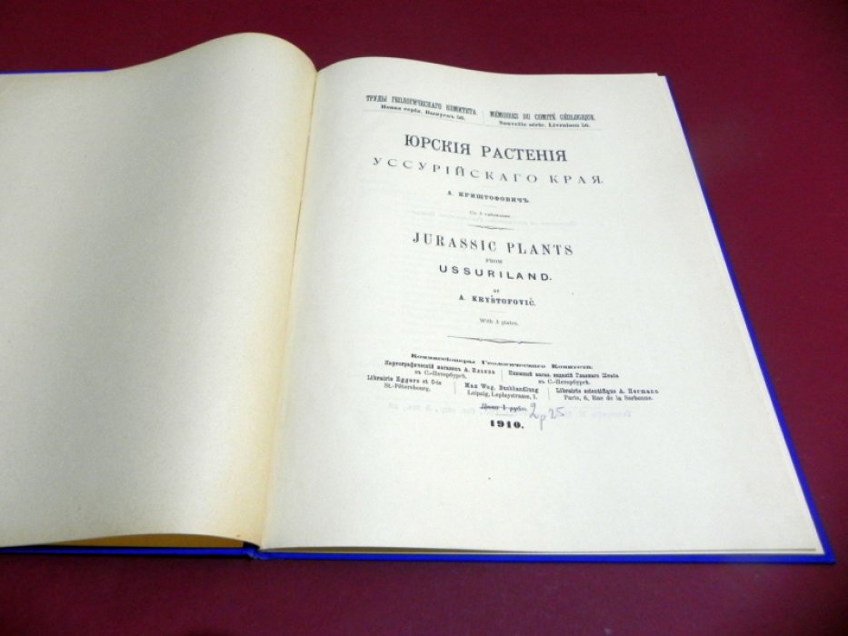 Юрские растения Уссурийского края. Труды Геологического комитета. Новая серия, выпуск 56