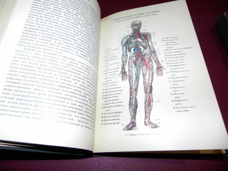 Книга о здоровом и больном человеке: настольная книга и руководитель семьи (в 2 томах)
