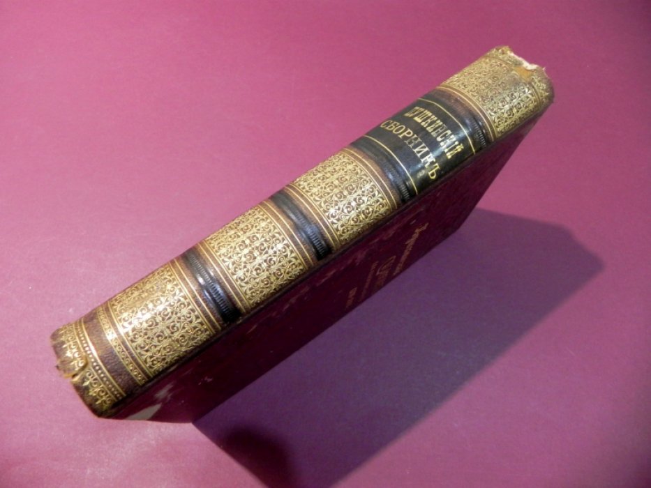 Пушкинский сборник в память столетия со дня рождения поэта (1799–1899)