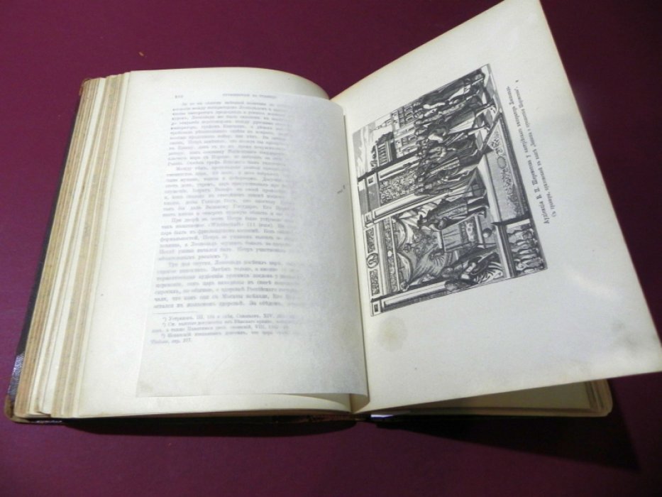 Брикнер А. Г. История Петра Великого. В двух томах. Том I (части I–III)
