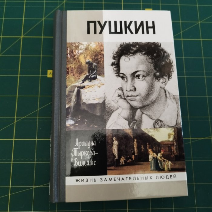 Тыркова-Вильямс А. Пушкин в 2т.