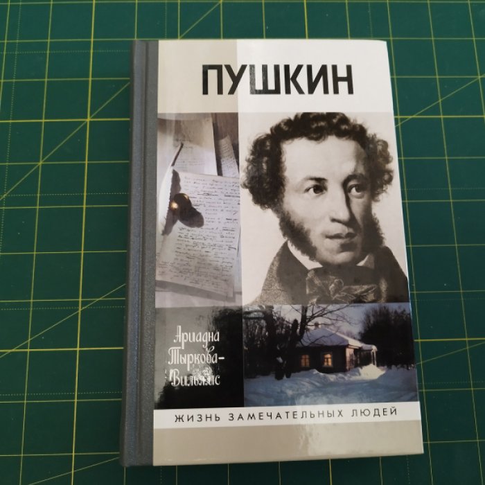 Тыркова-Вильямс А. Пушкин в 2т.