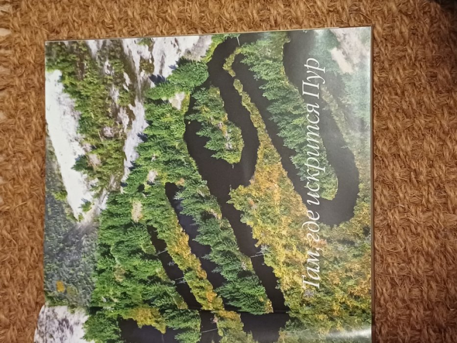 Кузнецов Е. Там где искрится Пур.