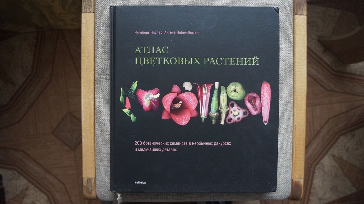 Нислер Ингеборг, Нибел-Ломанн Ангела. Атлас цветковых растений. 200 ботанических семейств в необычных ракурсах и мельчайших деталях.