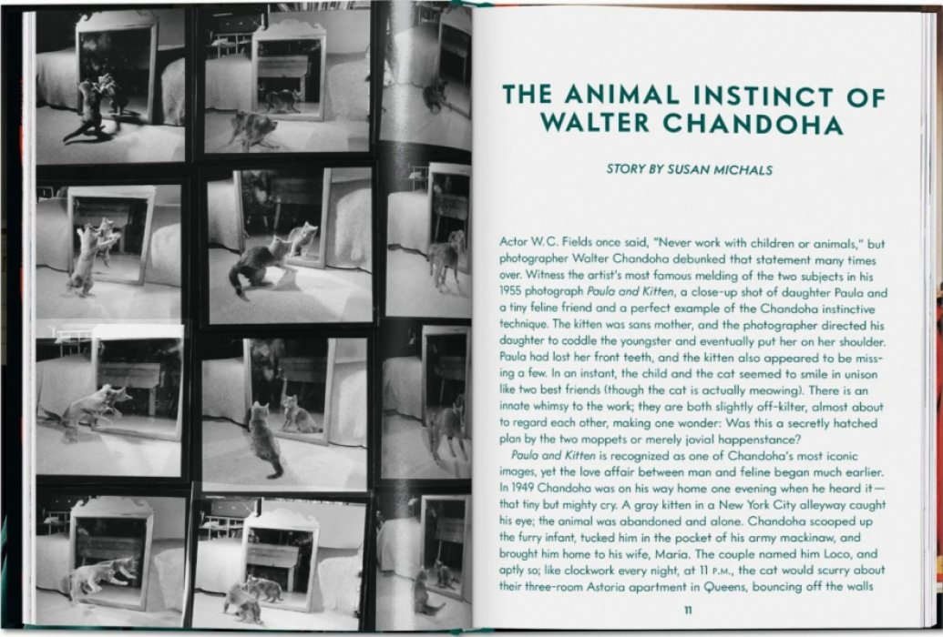 Michals Susan. Walter Chandoha. Cats. Photographs 1942-2018. ЧАНДОНА. КОШКИ (на английском языке). Тфото.