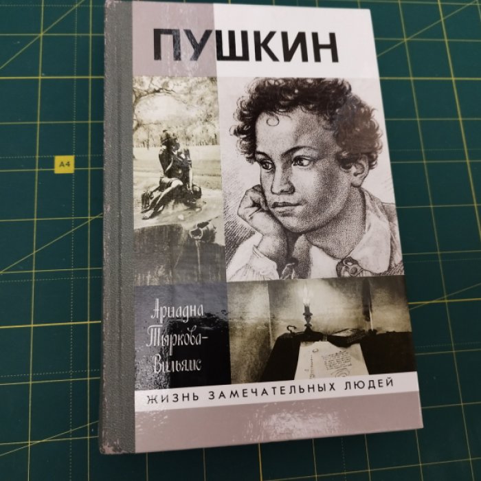 Тыркова-Вильямс А. Пушкин в 2т.