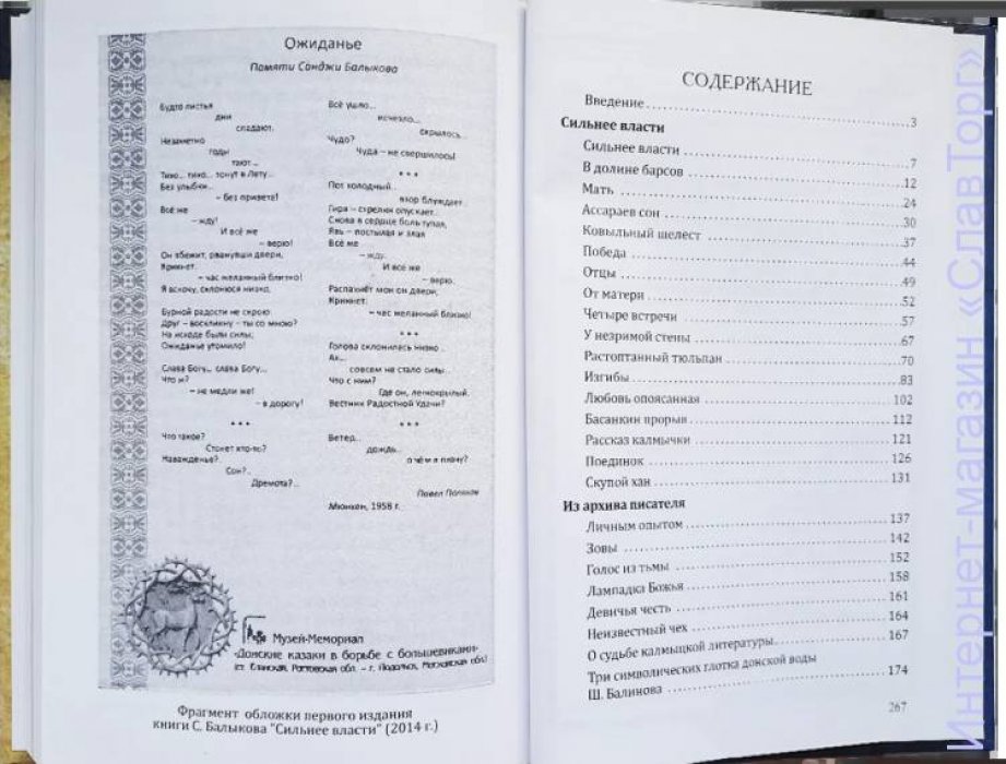 Балыков Санджа Басанович. Сильнее власти (2-е изд.)
