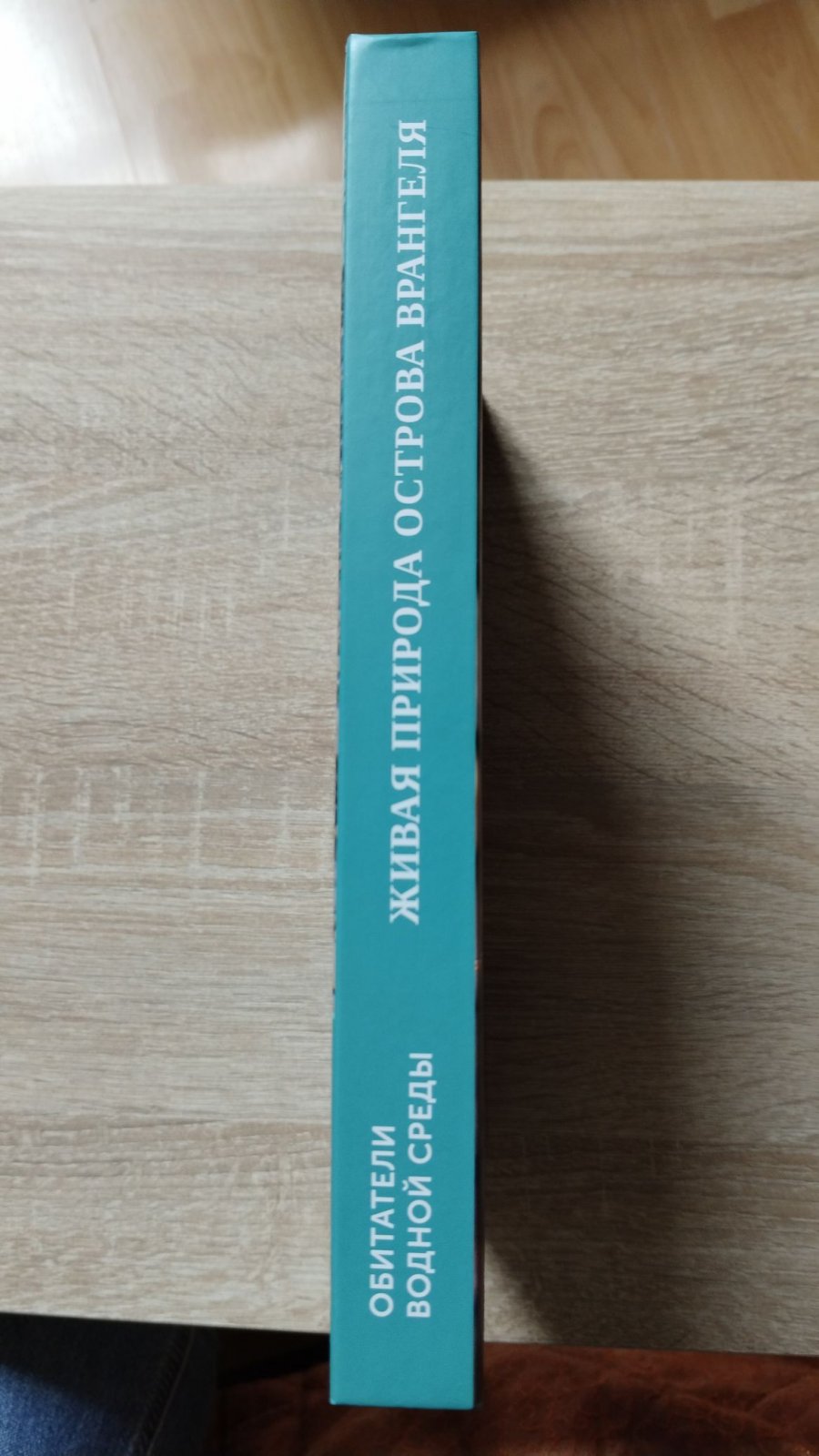 Груздев А. Р., Новичкова А. А., Бритаев Т. А., Дгебуадзе П. Ю., Антохина Т. И., Звонарева С. С., Мехова Е. С., Чернова Н. В. Живая природа острова Врангеля: иллюстрированный атлас.
