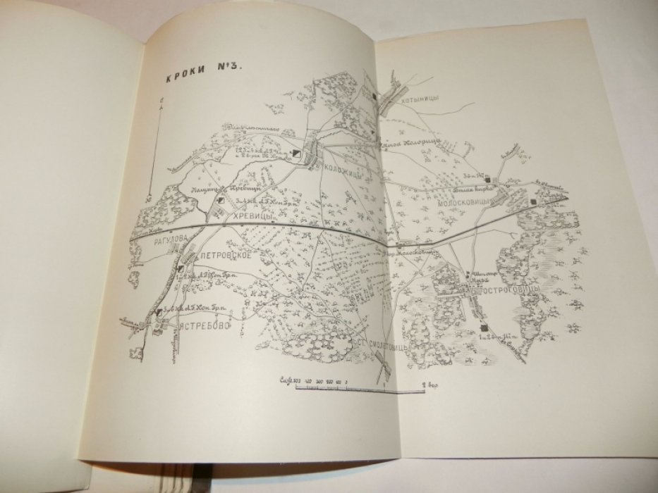Подробное описание Нарвско-Красносельских маневров 1899 года (летние маневры под Санкт‑Петербургом)