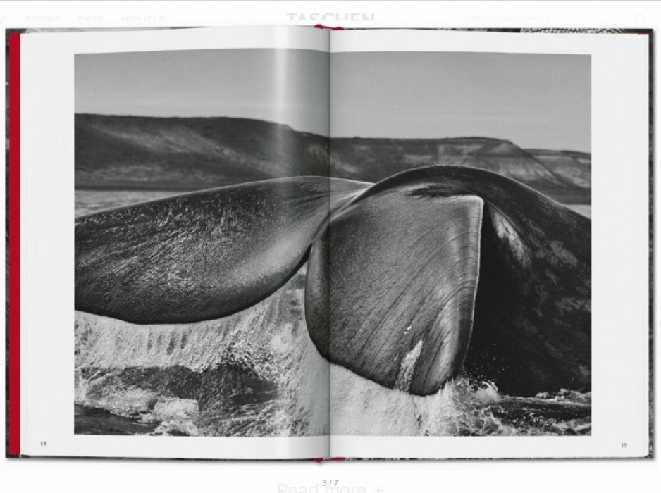 Сальгадо Себастьян. Sebastiao Salgado. Genesis. Себастьян САЛЬГАДО Генезис (на английском языке) Тфото
