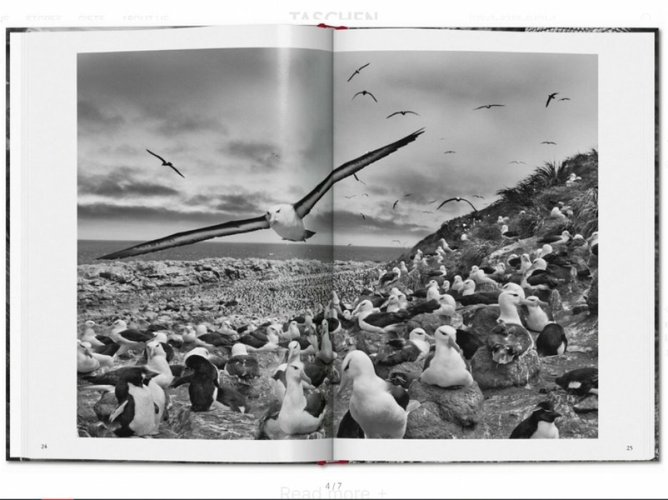 Сальгадо Себастьян. Sebastiao Salgado. Genesis. Себастьян САЛЬГАДО Генезис (на английском языке) Тфото