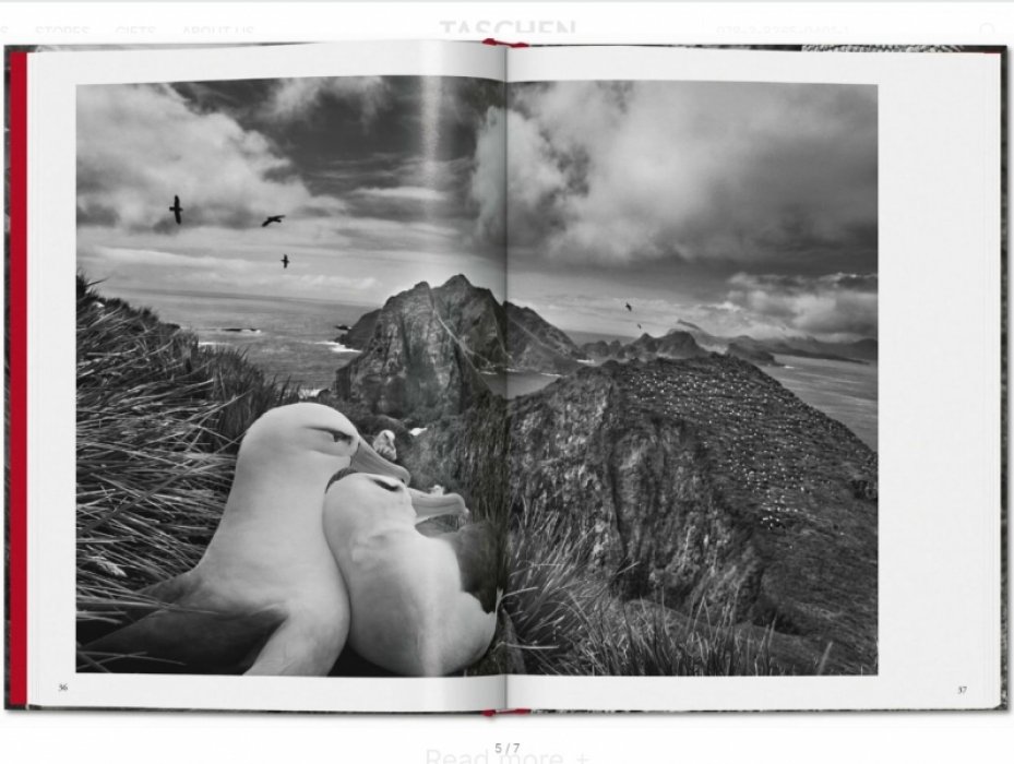 Сальгадо Себастьян. Sebastiao Salgado. Genesis. Себастьян САЛЬГАДО Генезис (на английском языке) Тфото