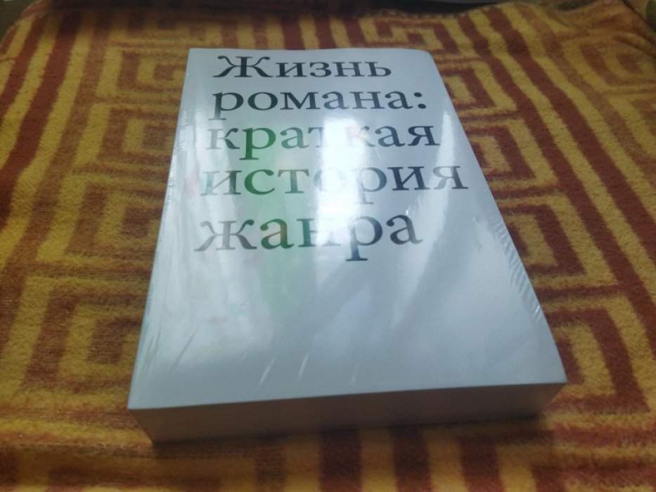 Павел Т. Жизнь романа: краткая история жанра.