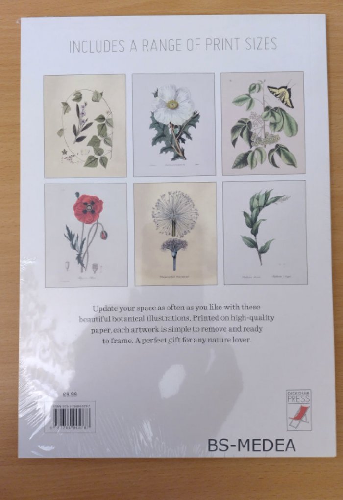 Home Wall Art. Vintage Botanics. Картинная галерея у вас дома. Винтажная ботаника (на английском языке). Набор постеров.