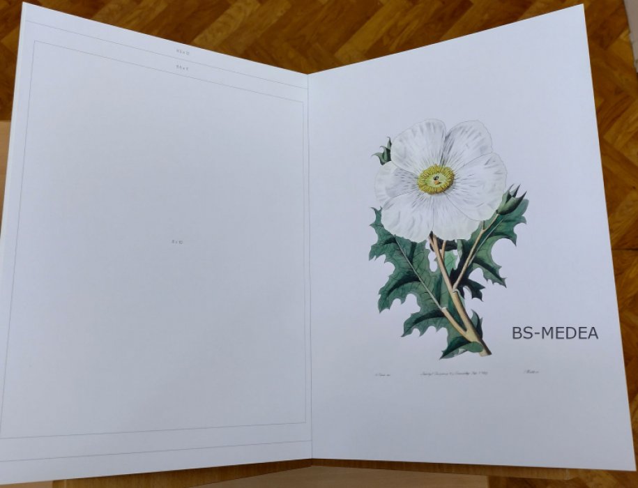 Home Wall Art. Vintage Botanics. Картинная галерея у вас дома. Винтажная ботаника (на английском языке). Набор постеров.