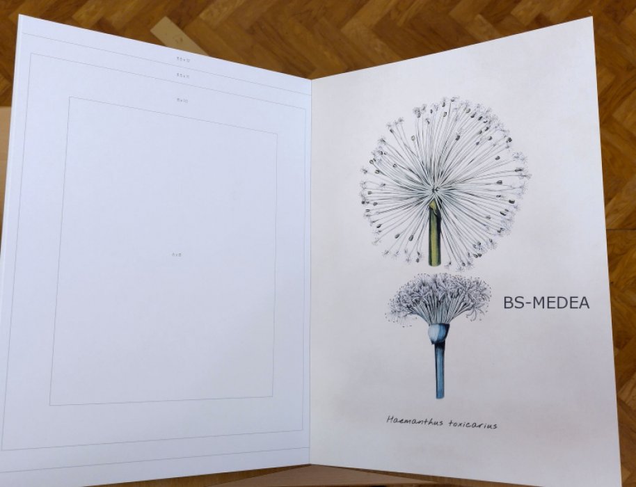 Home Wall Art. Vintage Botanics. Картинная галерея у вас дома. Винтажная ботаника (на английском языке). Набор постеров.