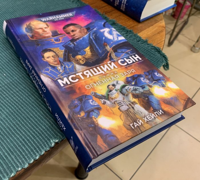 Хейли Гай. Мстящий Сын.