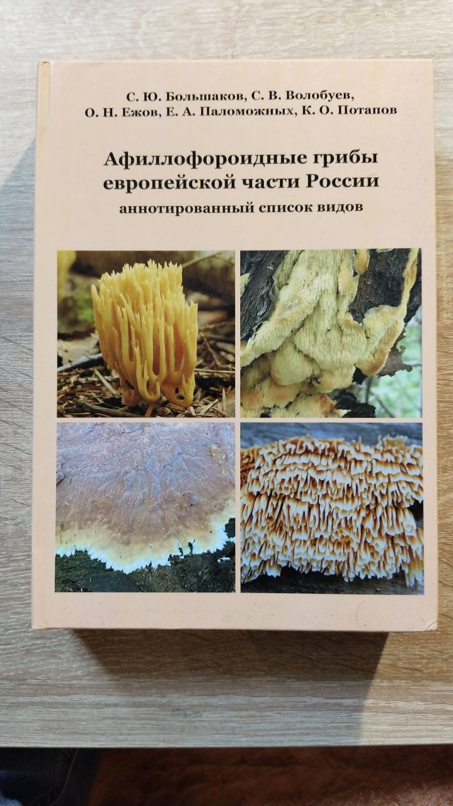 Большаков С. Ю., Волобуев С. В., Ежов О. Н.,  Паломожных Е. А., Потапов К. О. Афиллофороидные грибы европейской части России: аннотированный список.