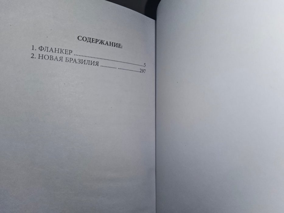 Эмар Г. Фланкер. Новая Бразилия.