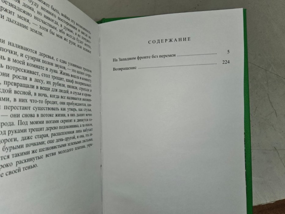 Ремарк Э. На западном фронте без перемен.