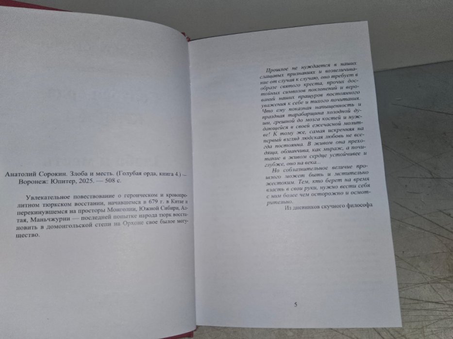 Сорокин А. Злоба и месть.