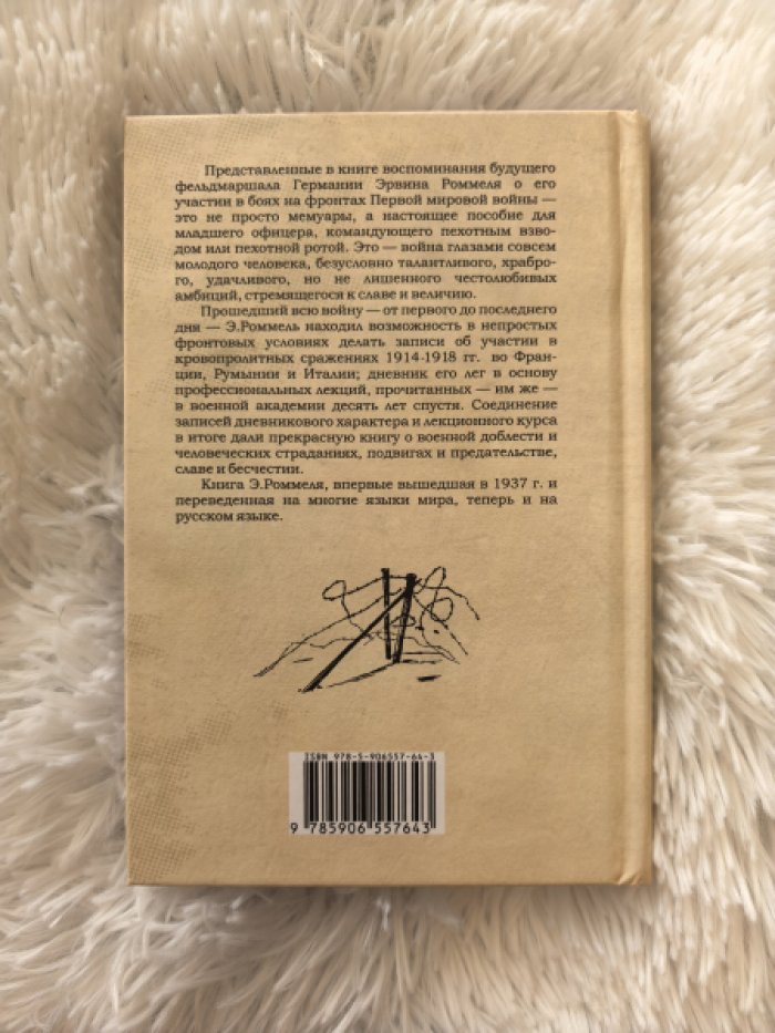 Роммель Эрвин. Пехота наступает. События и опыт