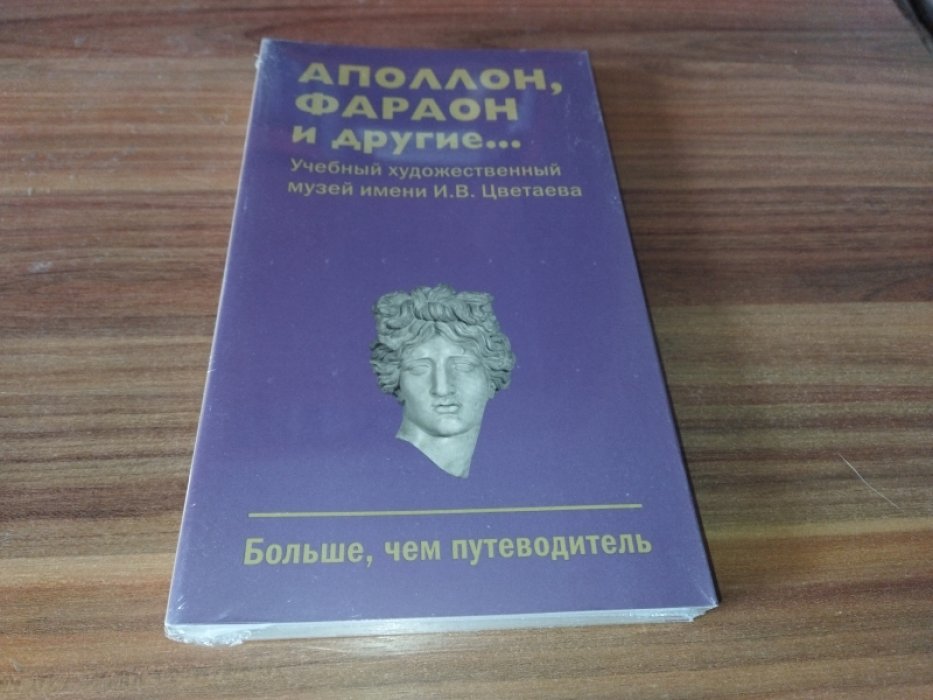 Учебный художественный музей имени И.В. Цветаева. Аполлон, фараон и другие…: Больше, чем путеводитель 