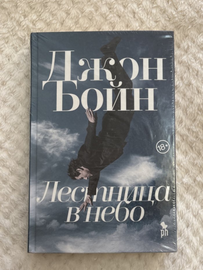 Бойн Джон. Лестница в небо.