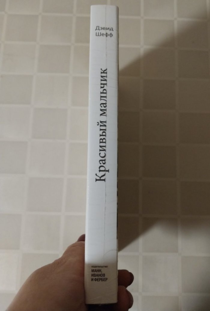 Шефф Дэвид. Красивый мальчик.