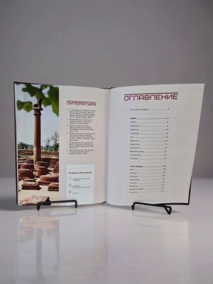 Родичев Ю.Е., Макарова А.Ю. Индия. Бихар и Уттар-Прадеш.