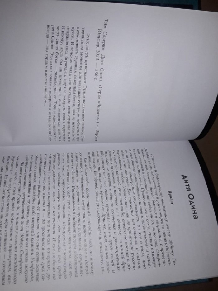 Тим Северин. Дети Одина.