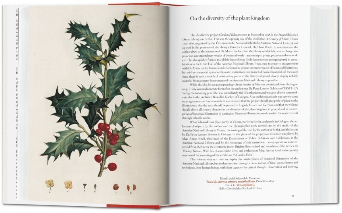 Walter Lack H. A Garden Eden Masterpieces of Botanical Illustration. РАЙСКИЙ САД. Ботаническая иллюстрация. Шедевры (на английском языке) Тискусство.