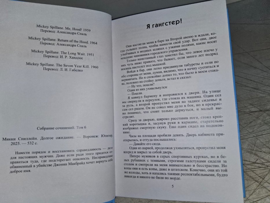 Спиллейн М. Долгое ожидание.