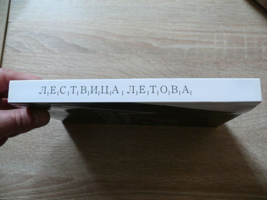 Мельников Сергей. Лествица Летова. Опыт неформального прочтения идейного творчества Егора Летова.