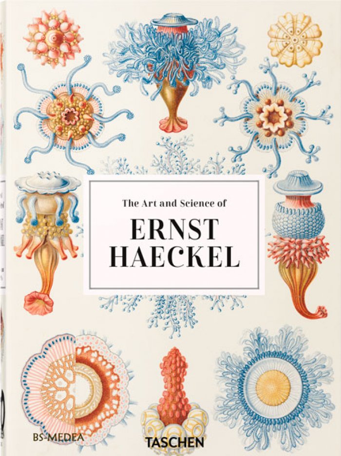 Геккель Эрнст, Вильям Райнер, Восс Джулия. The Art and Science of Ernst Haeckel. Эрнст ГЕККЕЛЬ. Искусство и наука. Красота форм в природе (на английском языке). Тискусство.