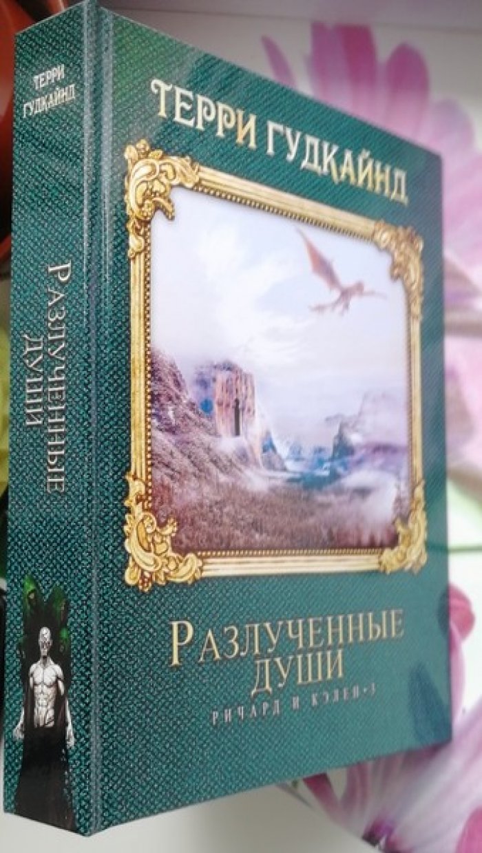 Гудкайнд Терри. Разлученные души.