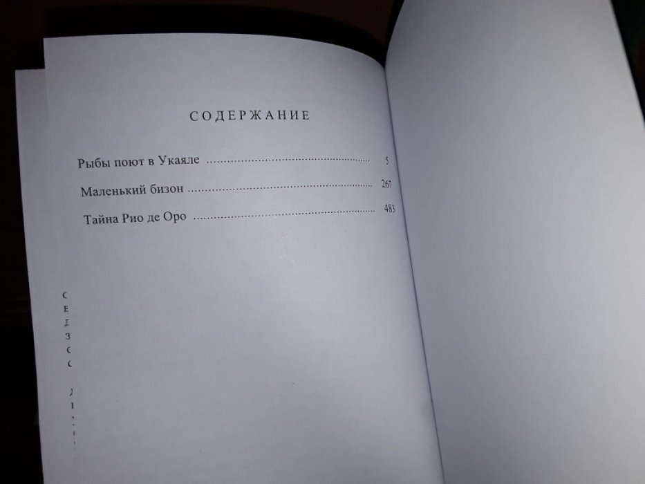 Фидлер А. Тайна Рио де Оро.