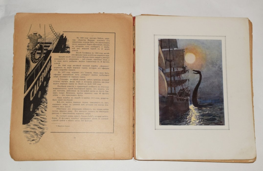 «Найя из джунглей» — иллюстрированная книга (авторизованный перевод, 1922)